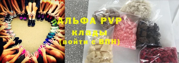 СК Волосово
